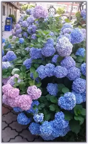images.jpeg-21.webp