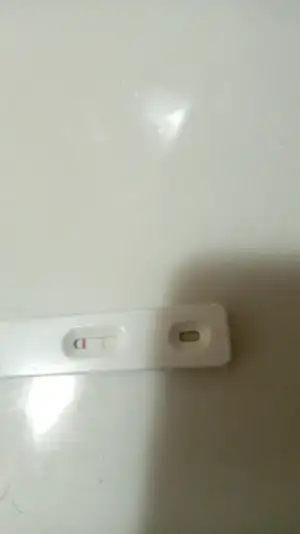 IMG-20210122-WA0002.webp