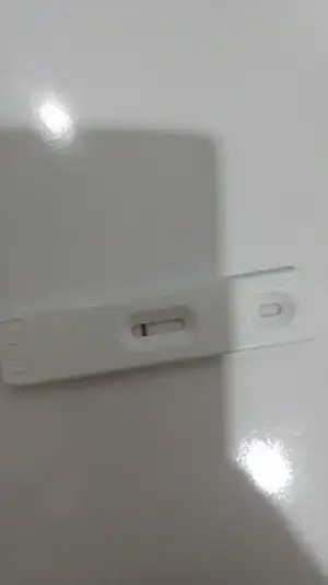 16114271918621081222176.webp