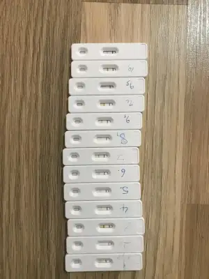 539FEEB3-EC13-41E8-BC35-BF69ABEB7D3E.webp