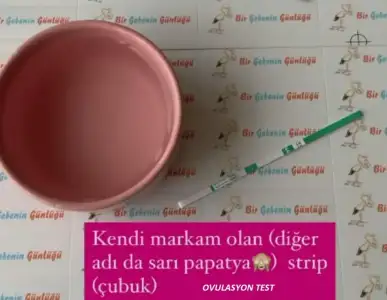 9C680DB8-FCAA-4D66-BEE4-B1FE5281D11E.webp