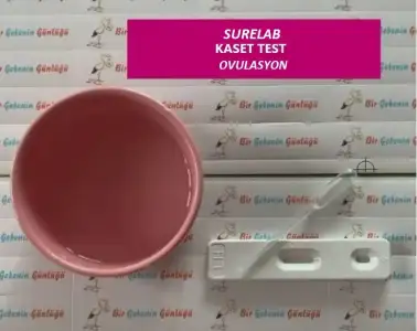 AFE25060-B54D-41C9-BA1A-F2D74E10FD62.webp