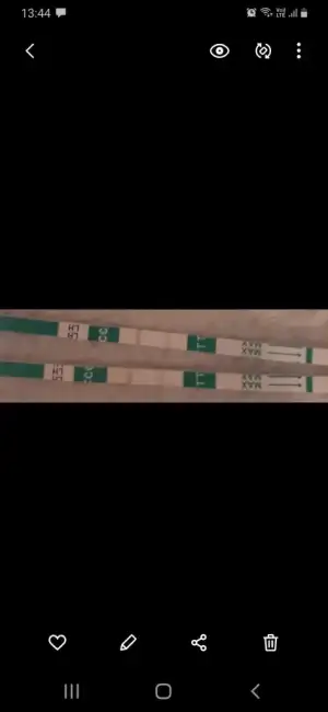 Screenshot_20210129-134420_Gallery.webp