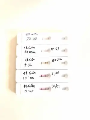 WhatsApp Image 2021-01-31 at 16.02.24.webp