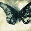 $butterfly_Littlefishyfaces01.gif