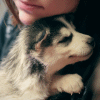 $puppy.gif