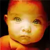 $6a00d834525fff69e201310f40670d970c-800wikopia.webp
