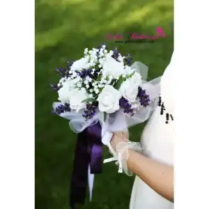 $IMG_0203-500x500.webp