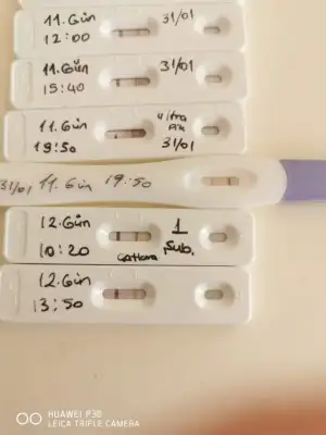 WhatsApp Image 2021-02-01 at 13.51.27.webp