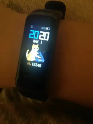 16122071487955378766020977260179.webp