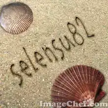 sampf2781e193b562812.webp
