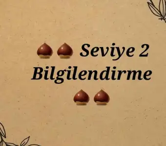 Screenshot_2021-02-05-22-30-21.webp