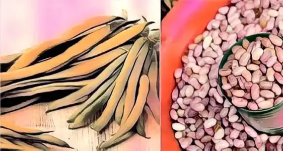 multivitamin_haplari_yerine_yiyecekler_gidalar.webp