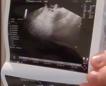 WIN_20210208_18_13_17_Pro (2).webp