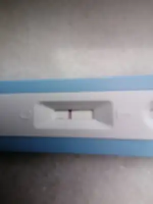 IMG_20210208_145041 (1).webp