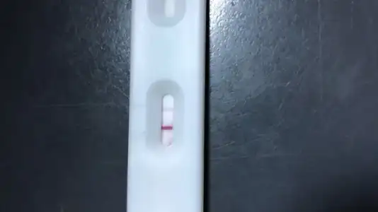 F5ED75A7-F6C3-42F3-8E19-128FDA88938A.webp