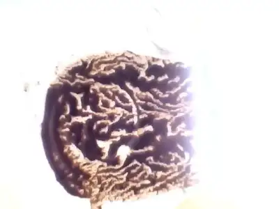 $Snapshot_20120522_5.webp