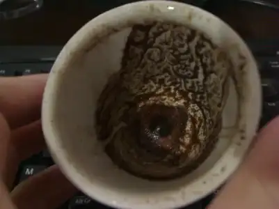 $7c6g99.webp