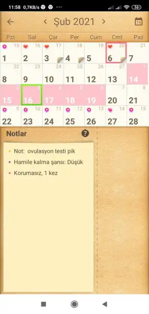 Screenshot_2021-02-16-11-58-29-769_com.popularapp.periodcalendar.webp