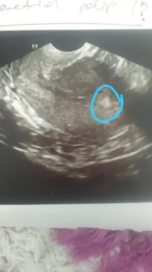 WhatsApp Image 2021-02-16 at 11.38.59.webp