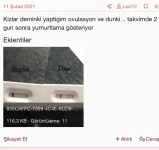 1D0B5D90-3D4E-4434-BC67-4A2F211FBF0F.webp