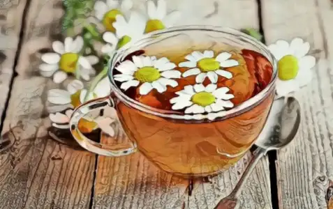 papatya_cayi_uyku_sorununa_iyi_gelir.jpg papatya_cayi_uyku_sorununa_iyi_gelir.jpg