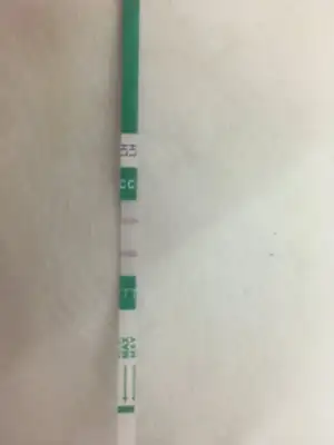 92967067-6719-4252-8CA2-A5364F982372.webp