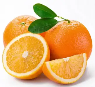 $577264_411306132223958_106050826082825_1262868_620965605_n.webp