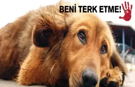 $beni-terk-etme.webp