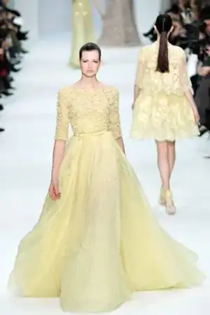 $elie saab2.webp