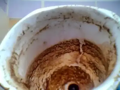 $Snapshot_20120523_4.webp