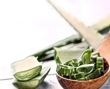 aloe_vera_sivilce_maskesi.jpg aloe_vera_sivilce_maskesi.jpg