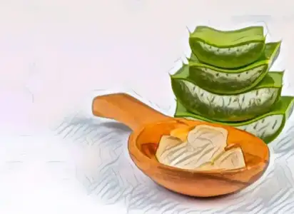 evde_aloe_vera_maskesi_nasil_yapilir.jpg evde_aloe_vera_maskesi_nasil_yapilir.jpg