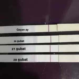246C96E1-E84F-4D48-A0A0-28ECE19AF9A3.webp