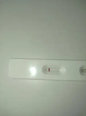1615282497445614039862683601512.webp