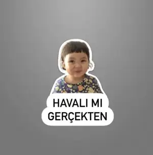 C0F4D566-227E-4C1B-8388-A8A50AB67301.webp