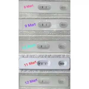 EF775AB8-CA23-4D53-AB03-30BD0CA7551F.webp