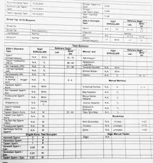 WhatsApp Image 2021-03-15 at 21.17.04.webp