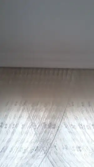 16158946840331451741390.webp