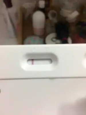 WhatsApp Image 2021-03-16 at 20.18.21.webp