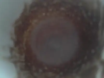 $2012-05-23 13.30.10.webp