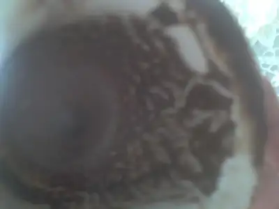 $2012-05-23 13.30.26.webp