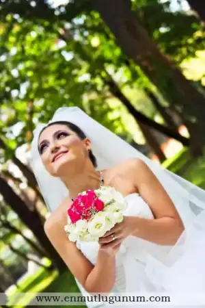 $388780_250364268355006_100001443033191_646627_2031231454_n.webp