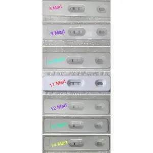 5584AEB9-5603-4AC1-B872-8971B1D6C6F5.webp