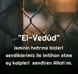 496E7B22-0A87-4F95-B838-6996BCE0E95C.webp