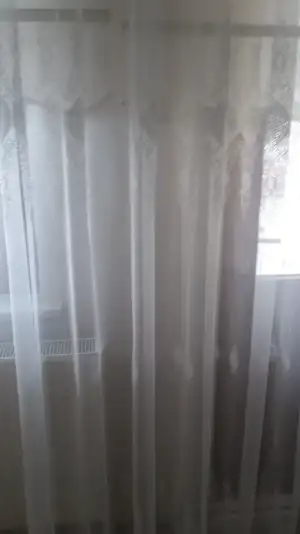 16165856240572003188673.webp