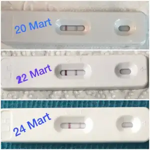 248FE271-09EA-4BFE-8A50-082C3ABA2E9E.webp
