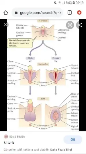 Screenshot_20210324-001934_Chrome.webp