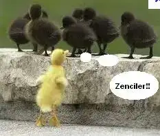 $ads&#305;z.webp