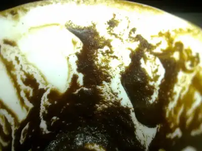 $27052012727.webp